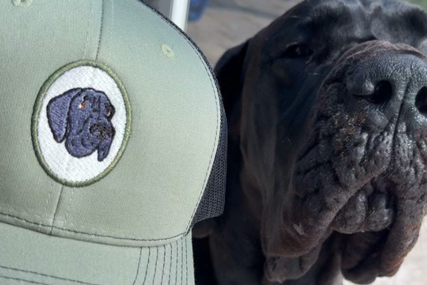 Custom Dog / Cat Embroidered Hat